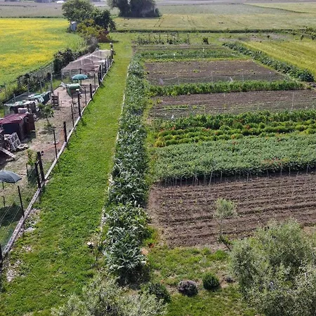 Secitrovi Gasthuis Fano