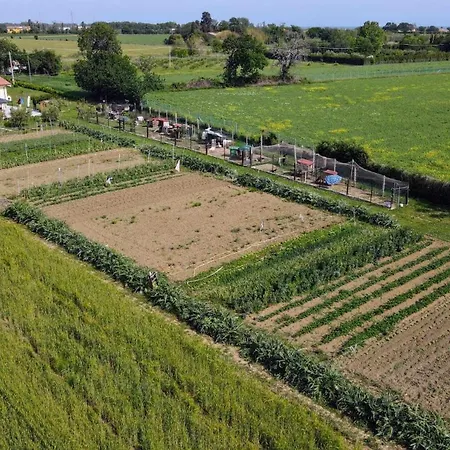 Secitrovi Gasthuis 3*