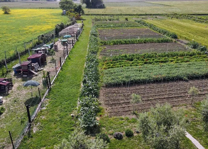 Secitrovi Pensión Fano