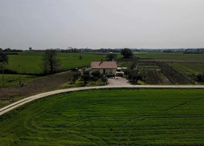 Secitrovi Pensión Fano