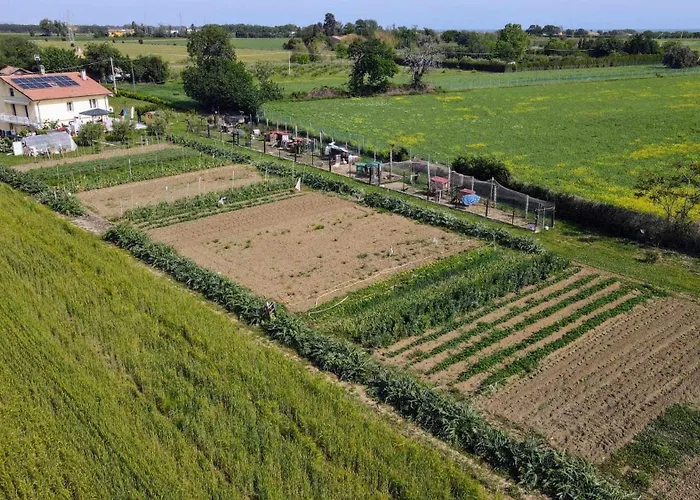 Secitrovi Pensión 3*