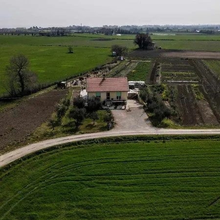 Secitrovi Fano